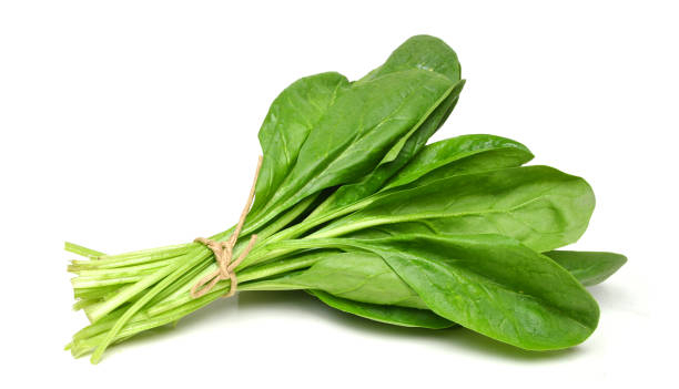 Spinaci freschi