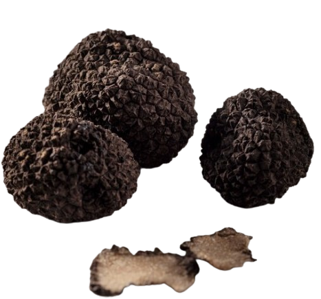 Tartufo fresco 