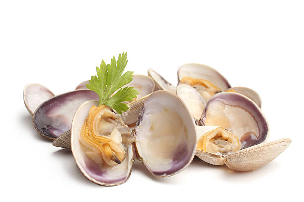 Vongole