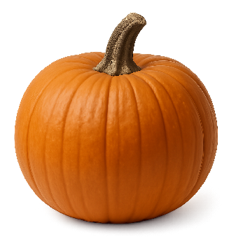 Zucca