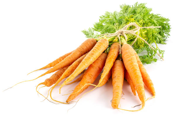 Carota