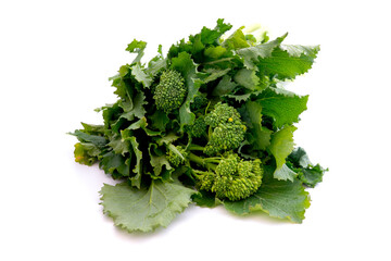 Cime di rapa