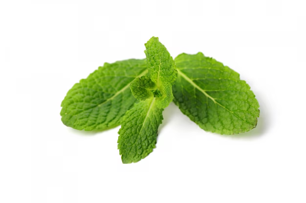 Foglie di menta fresca