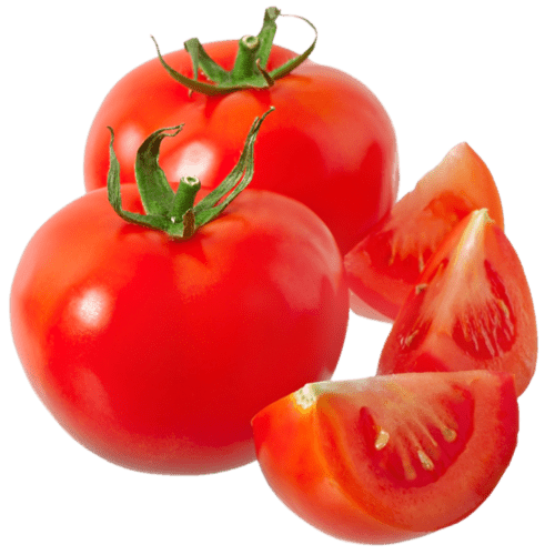 Pomodorini