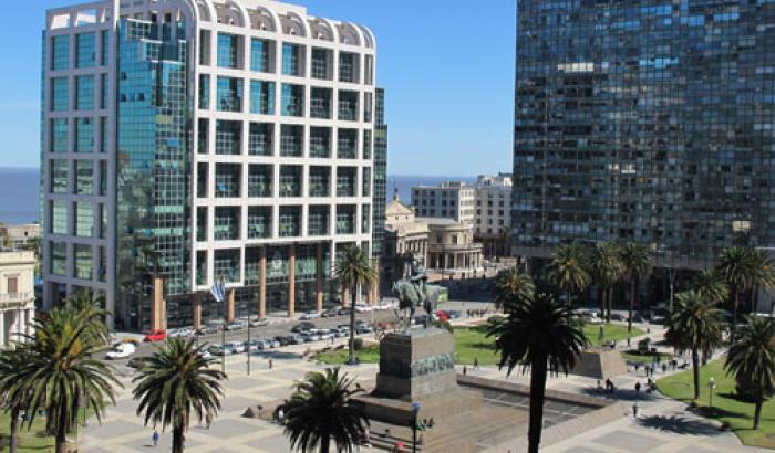 Intendencia de Montevideo analiza comprar palmeras italianas para Plaza Independencia