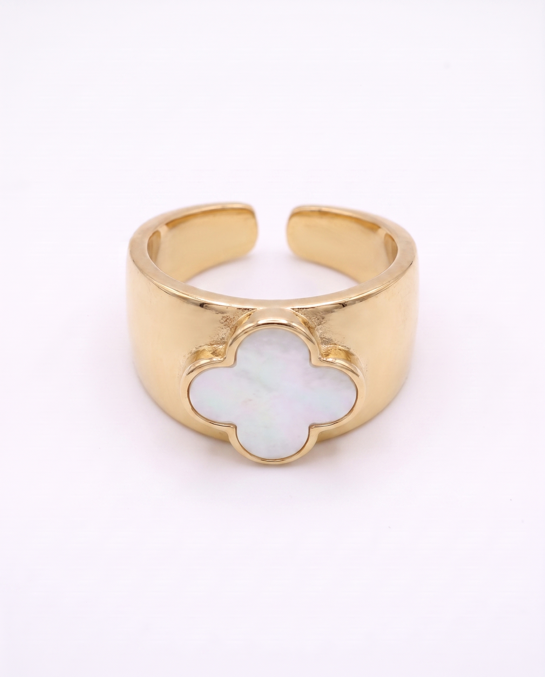 Anillo