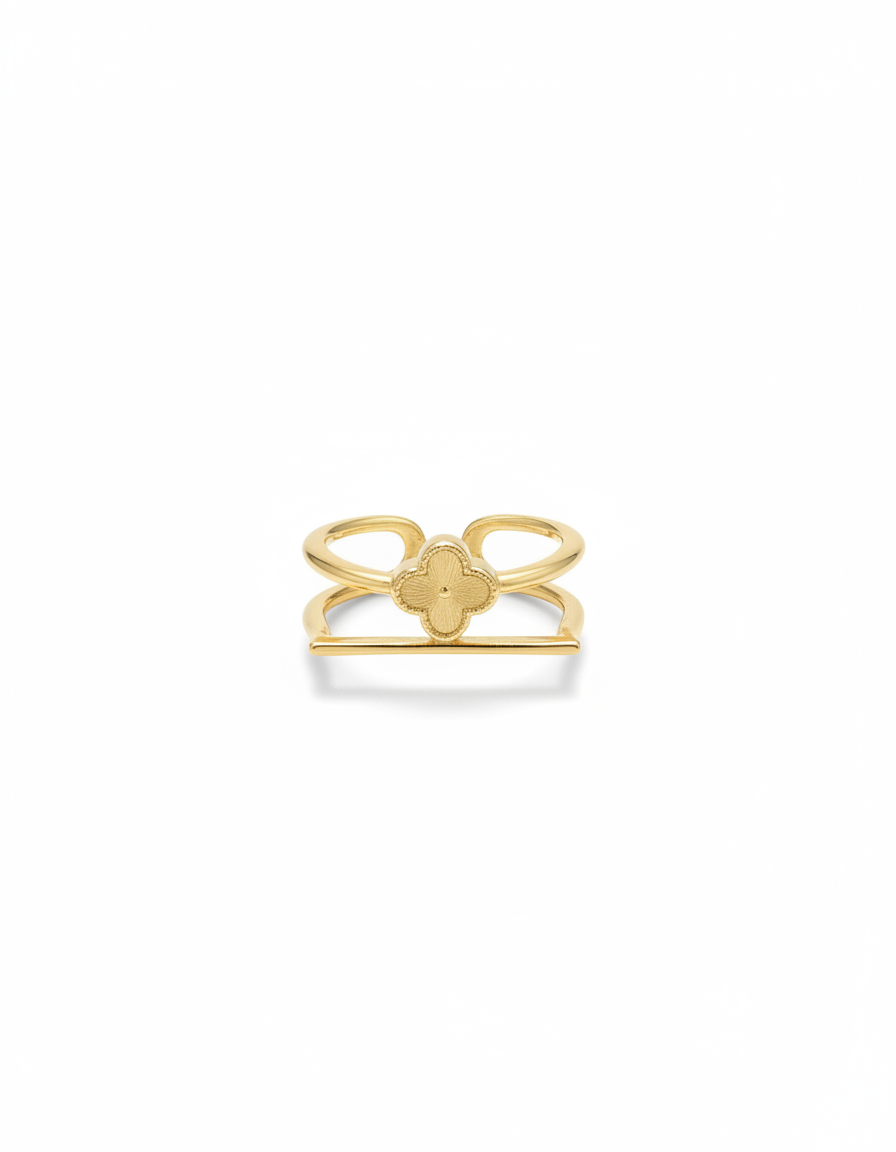 Anillo