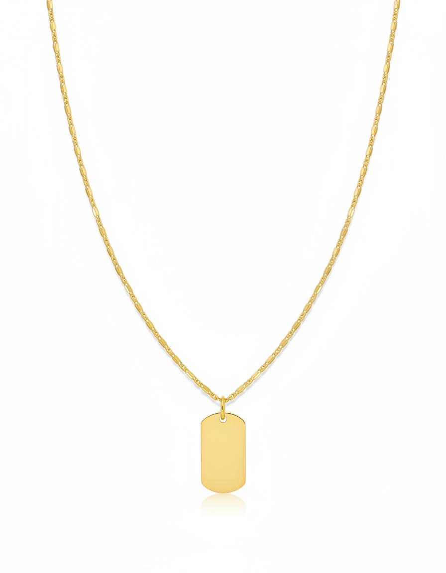 Cadena con dije de placa 