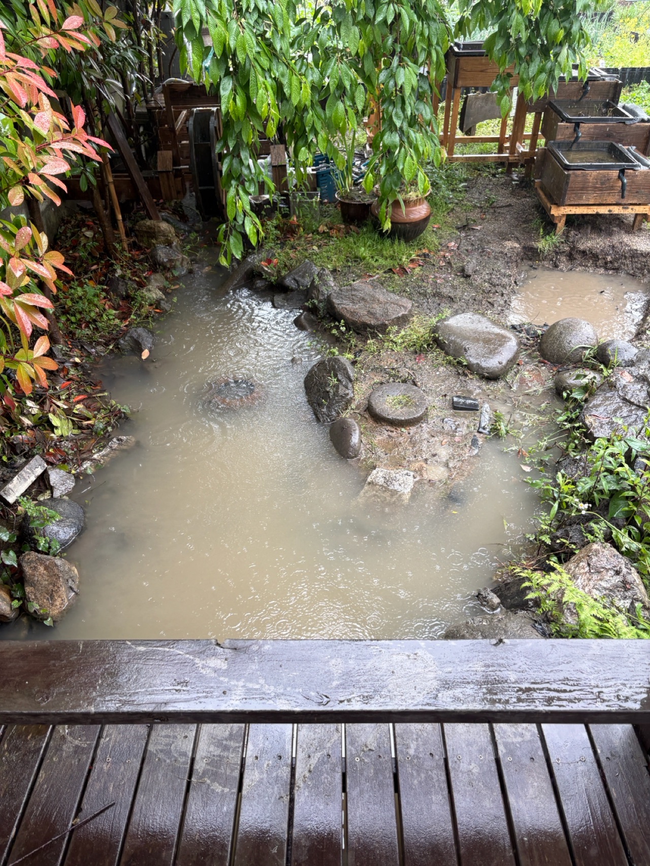 掲示板画像