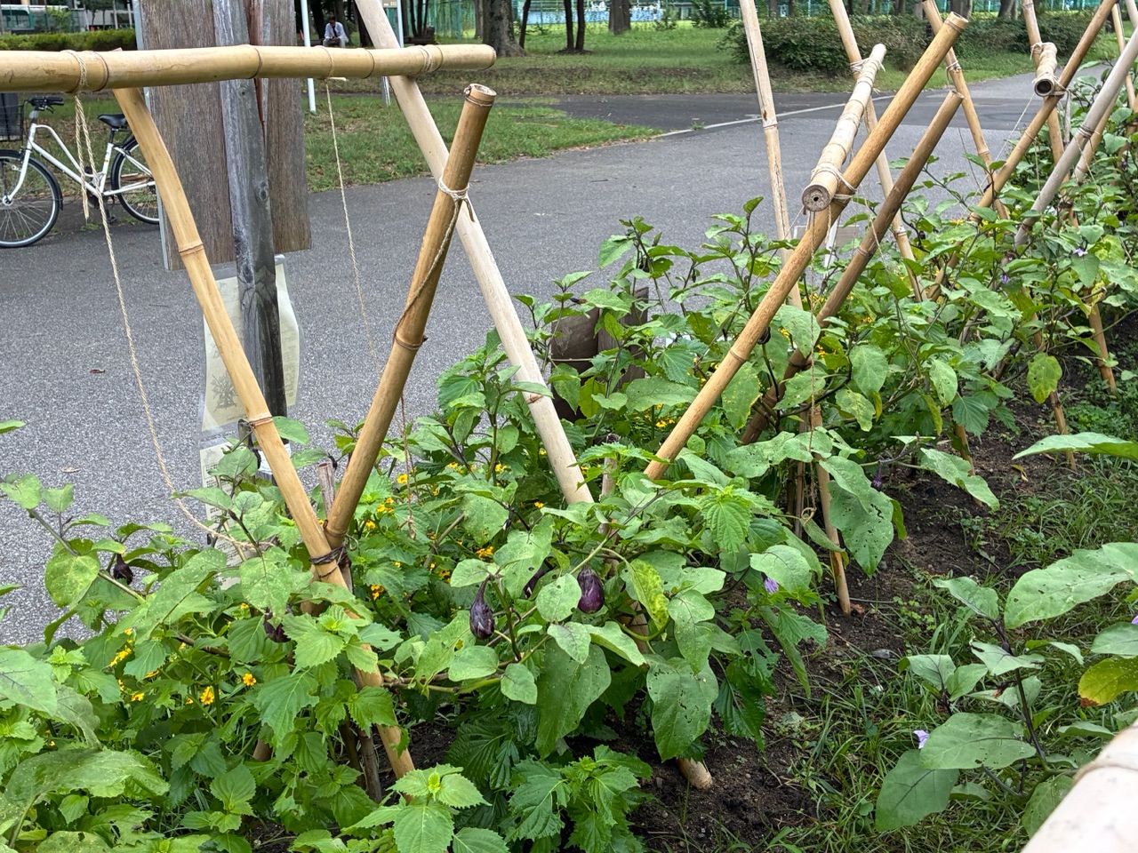 掲示板画像