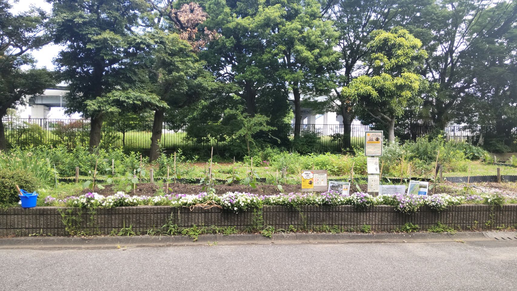 掲示板画像