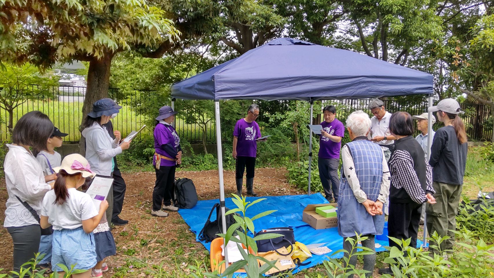 掲示板画像