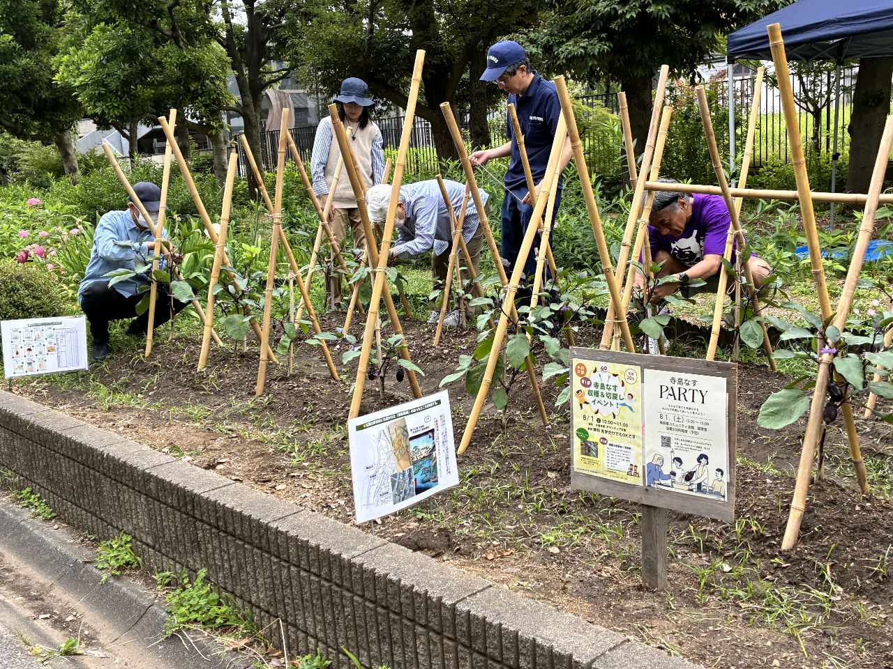 掲示板画像