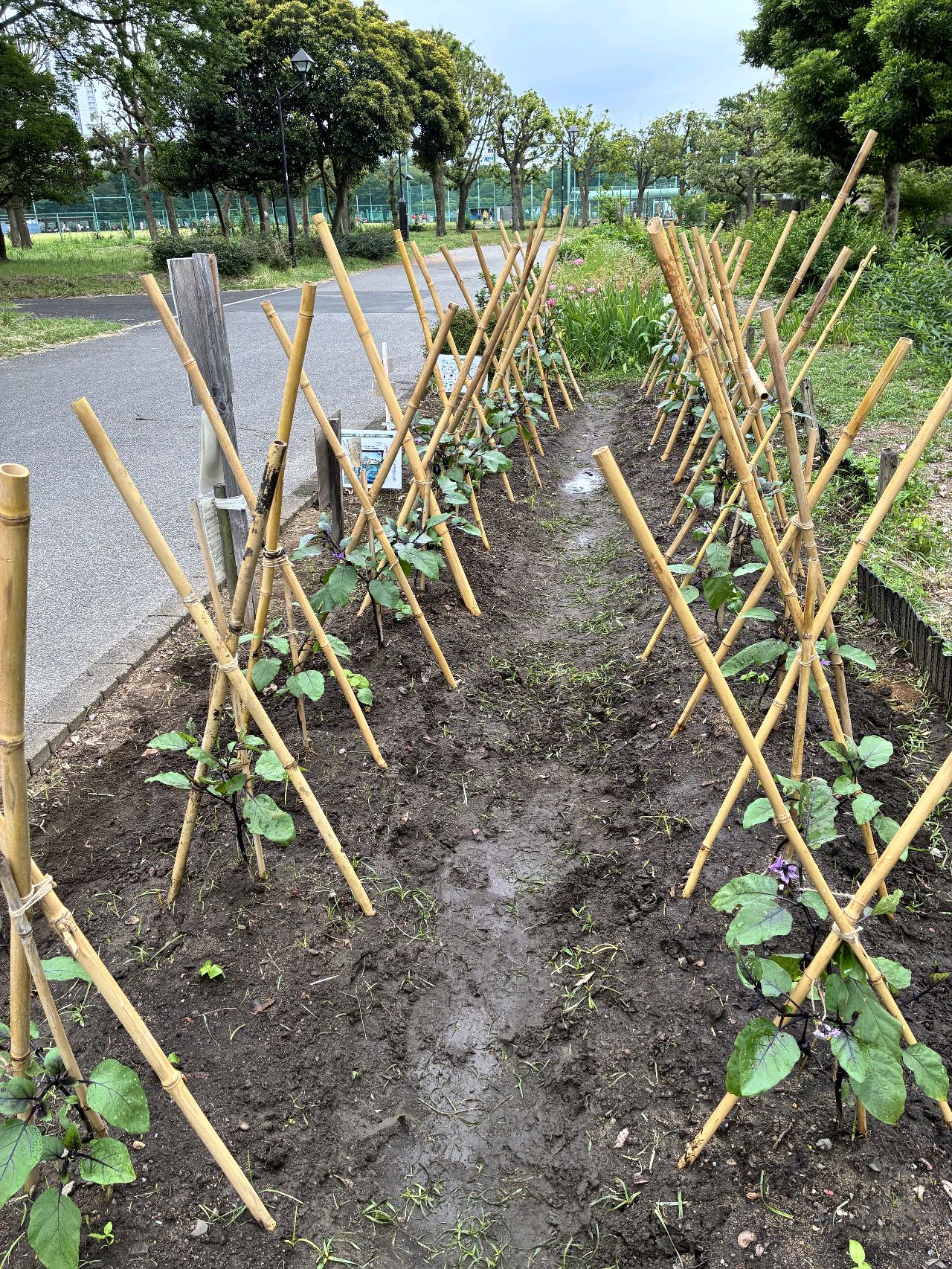掲示板画像
