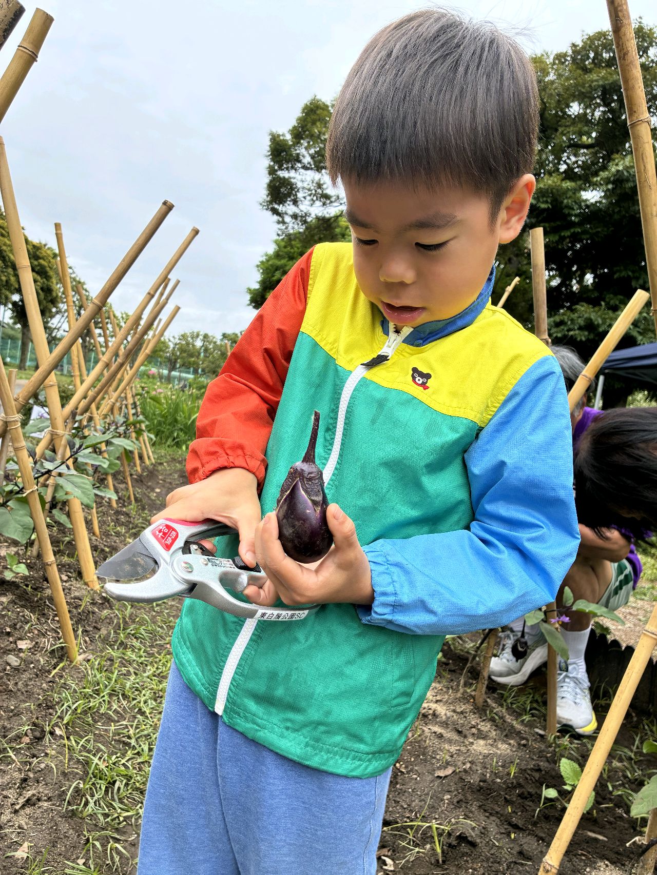 掲示板画像