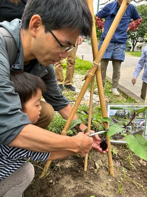 【東白鬚公園】6/7枝吊りイベントのサムネイル画像