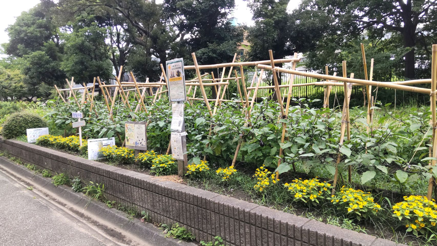 掲示板画像