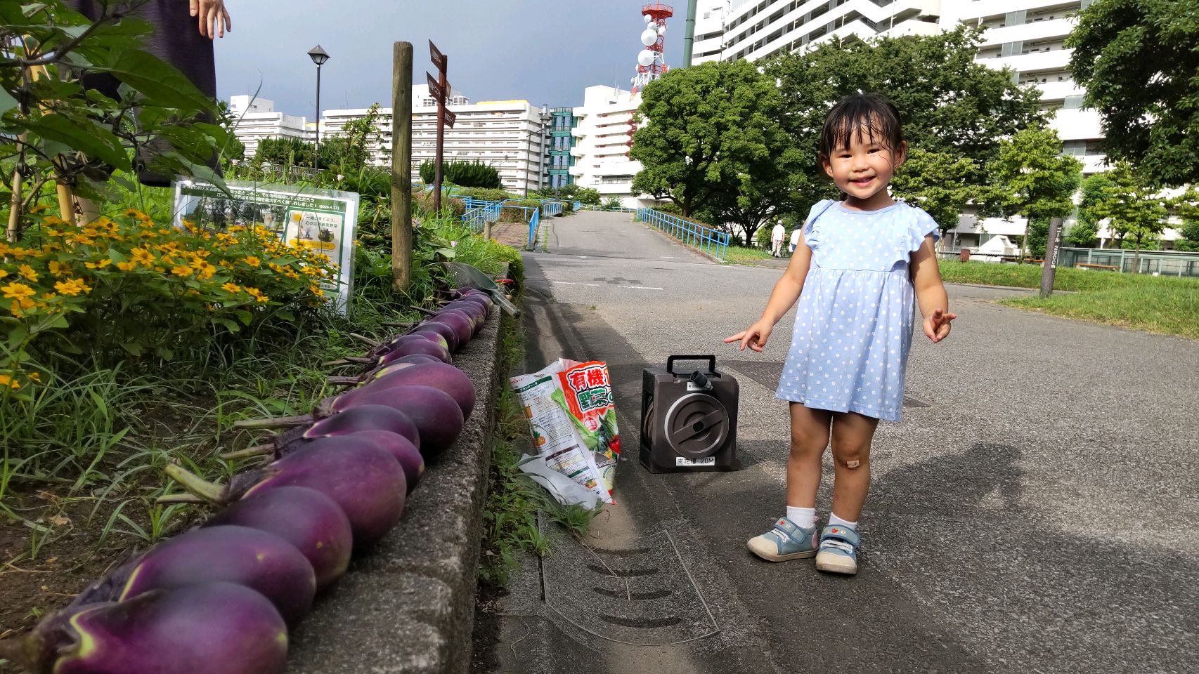 掲示板画像