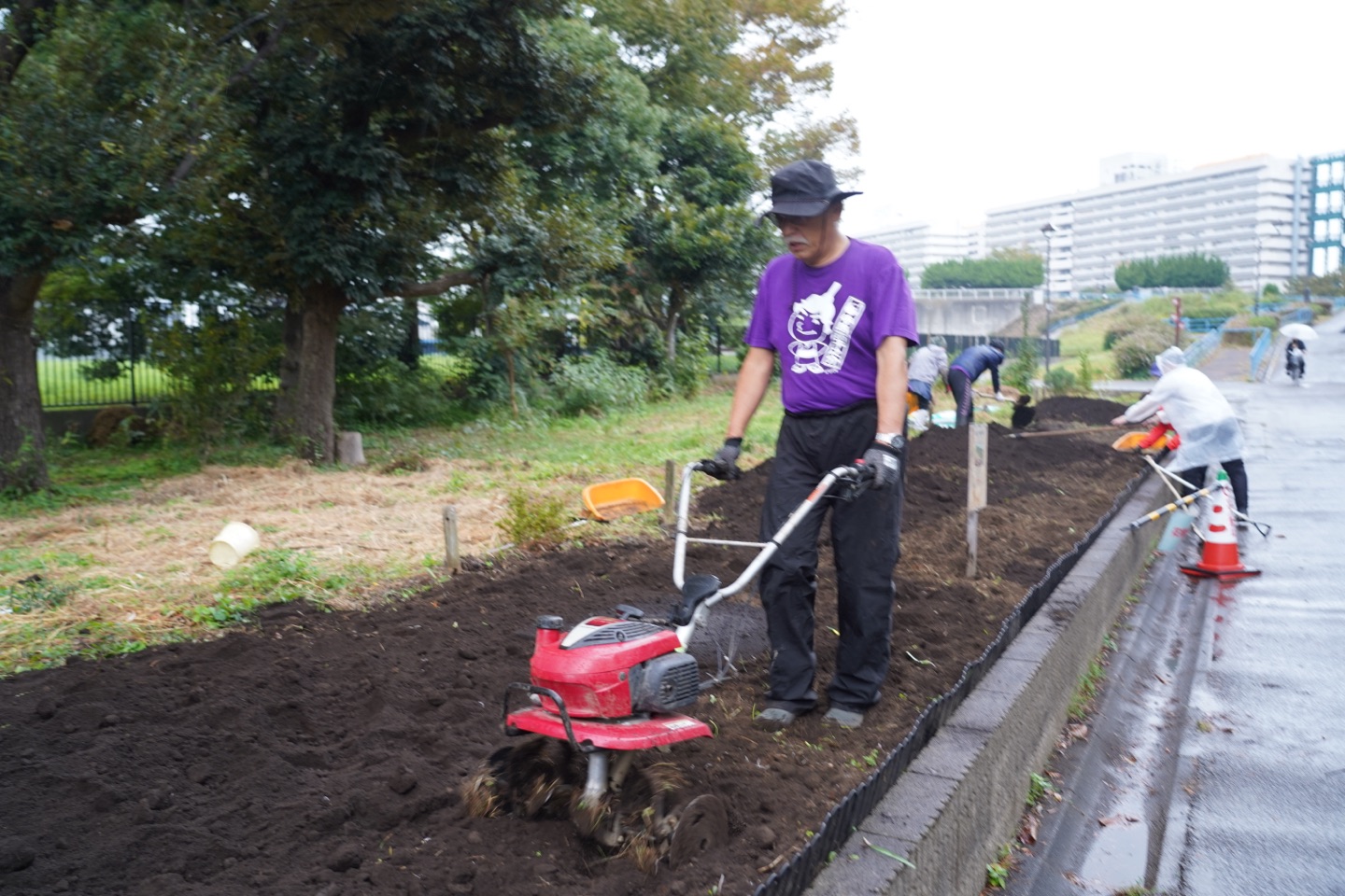 将軍家献上の御前栽畑で江戸東京野菜の畑作りの画像 1