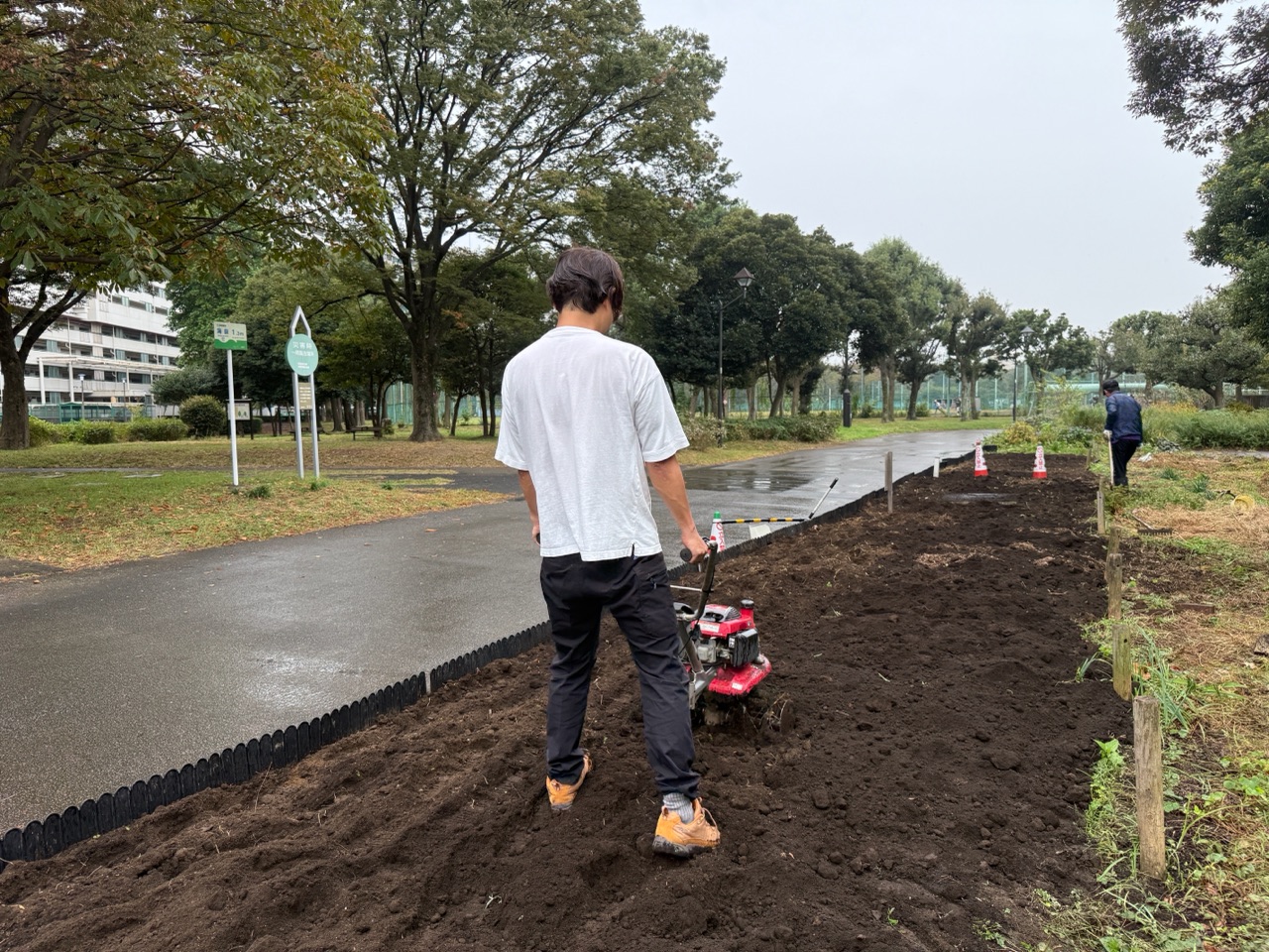 将軍家献上の御前栽畑で江戸東京野菜の畑作りの画像 2