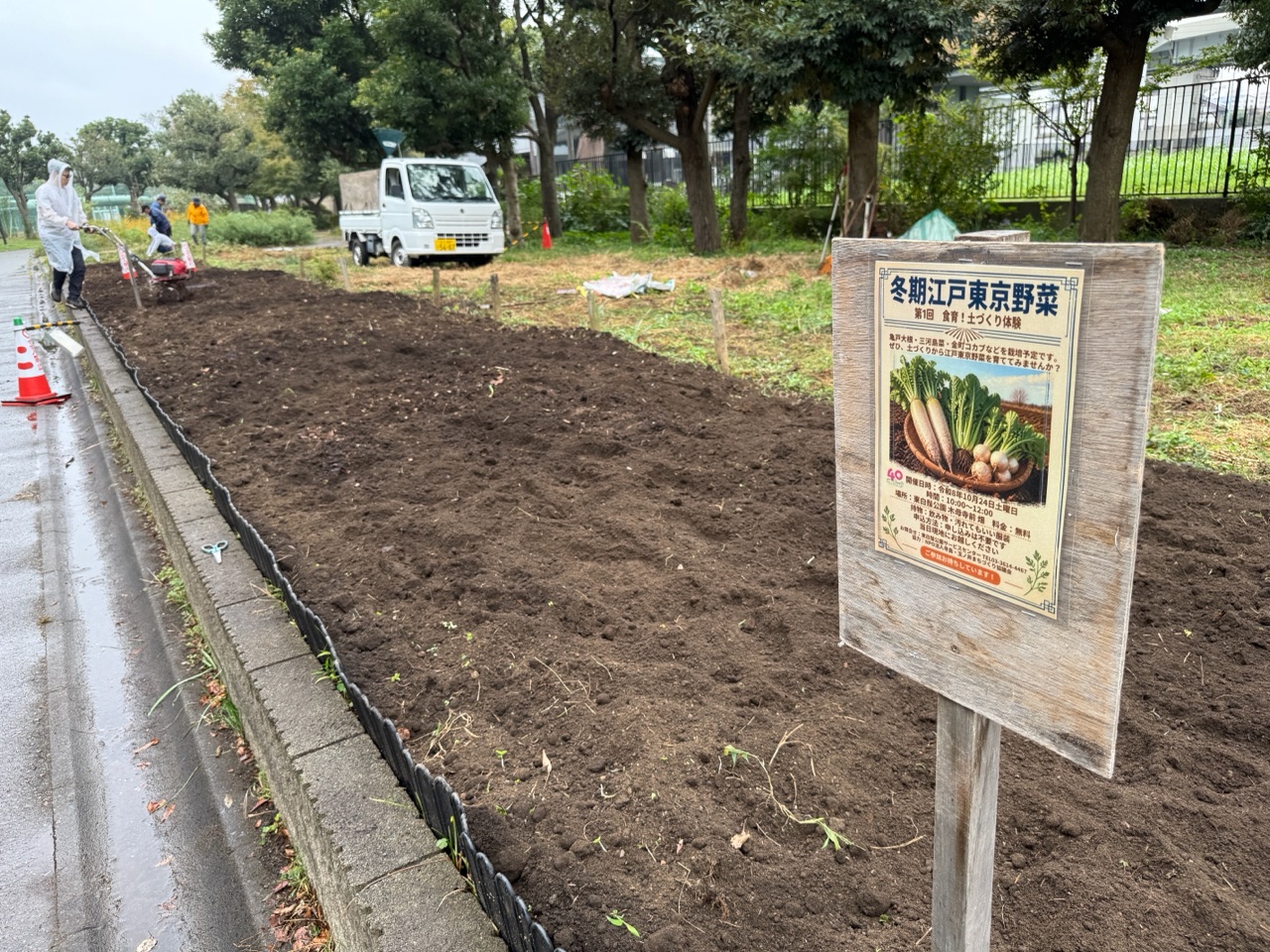 将軍家献上の御前栽畑で江戸東京野菜の畑作りの画像 5