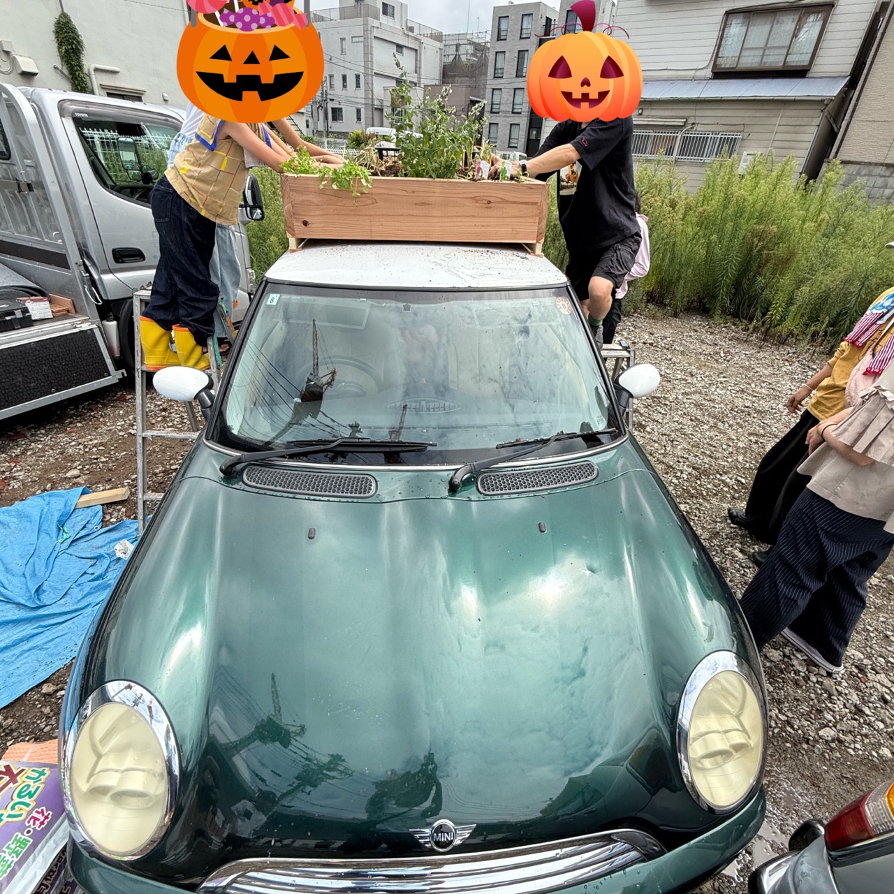 掲示板画像