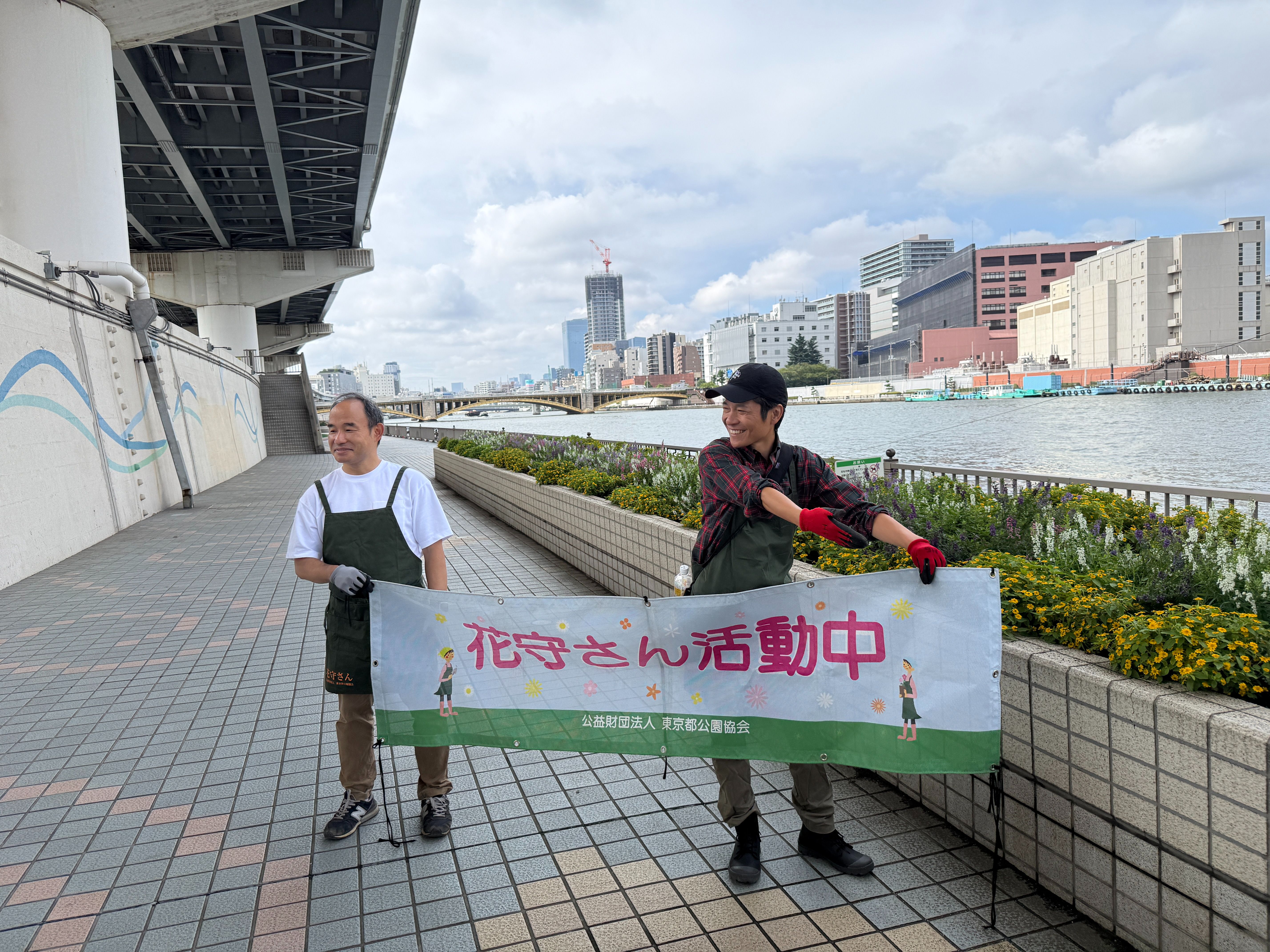 掲示板画像