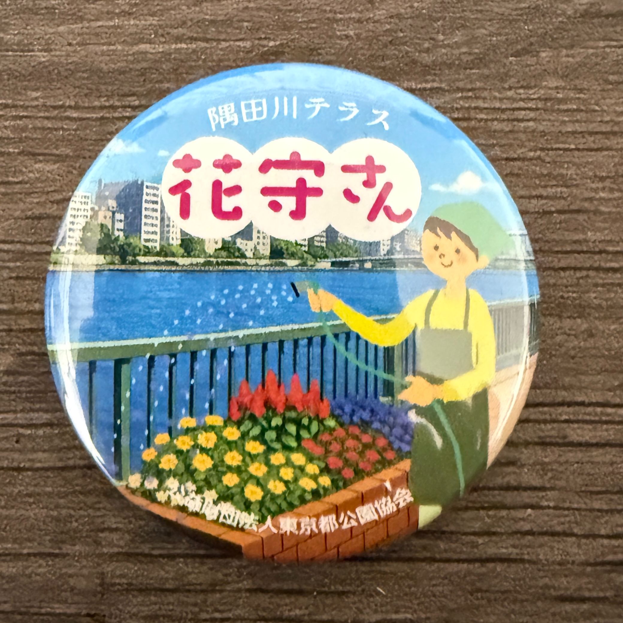 掲示板画像