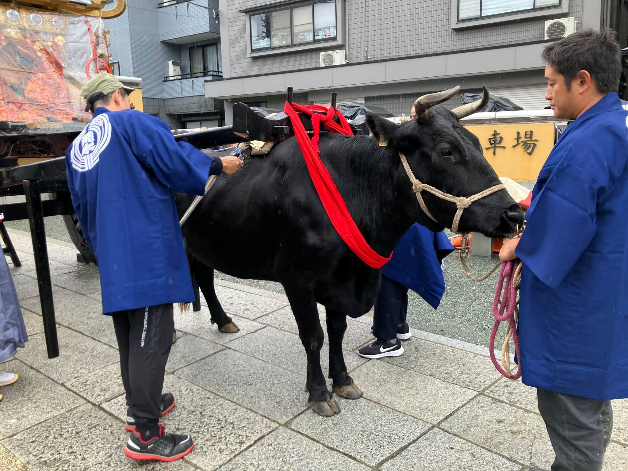 掲示板画像