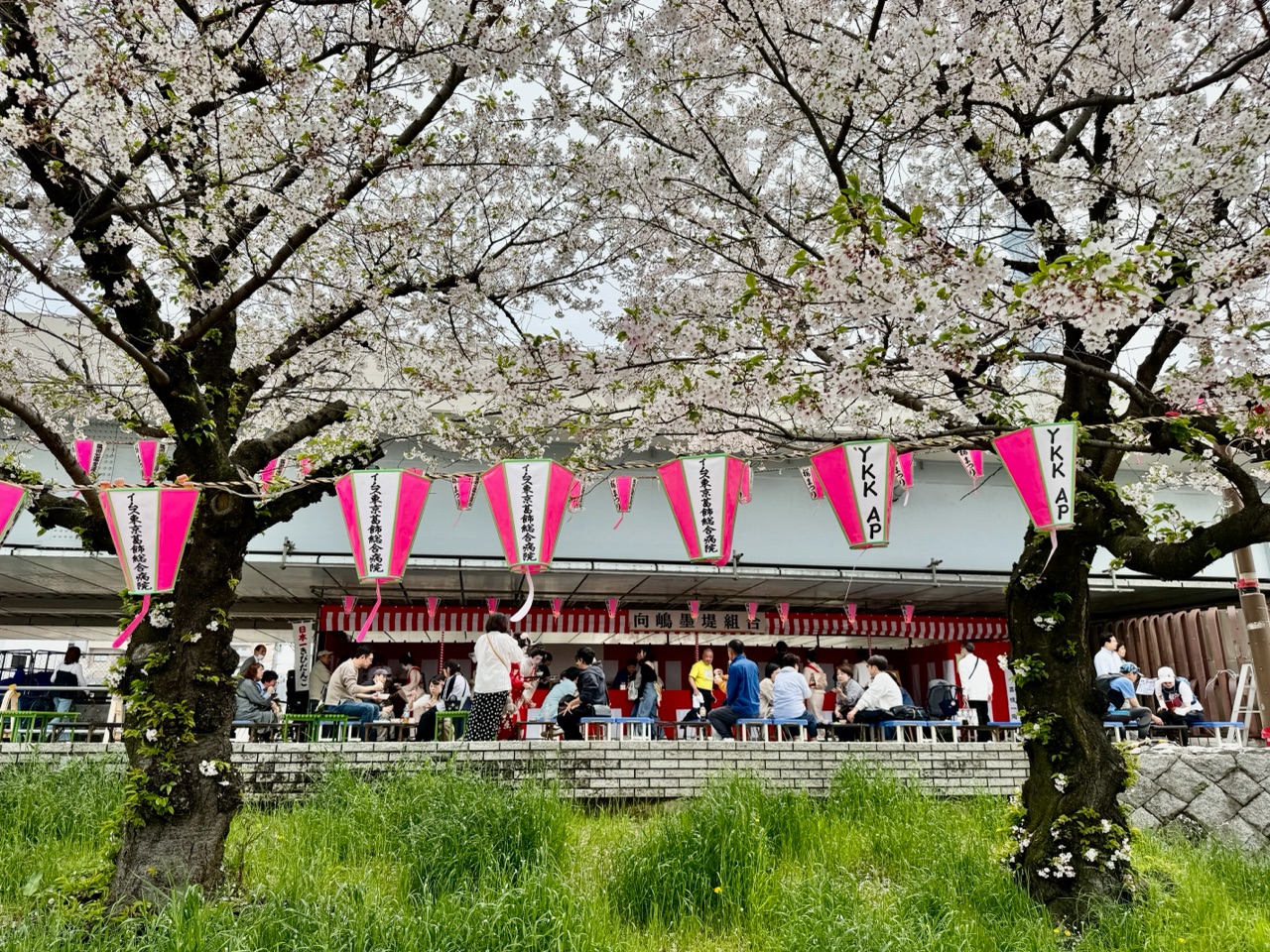 すみだ開花知らせ隊のコミュニティ画像