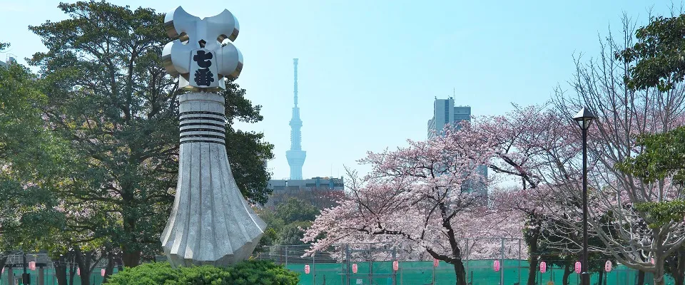 東白鬚公園