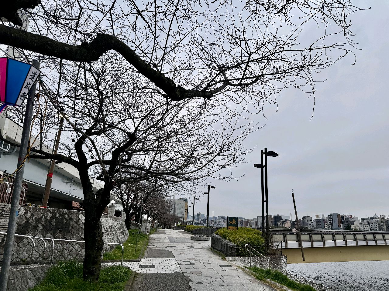 掲示板画像