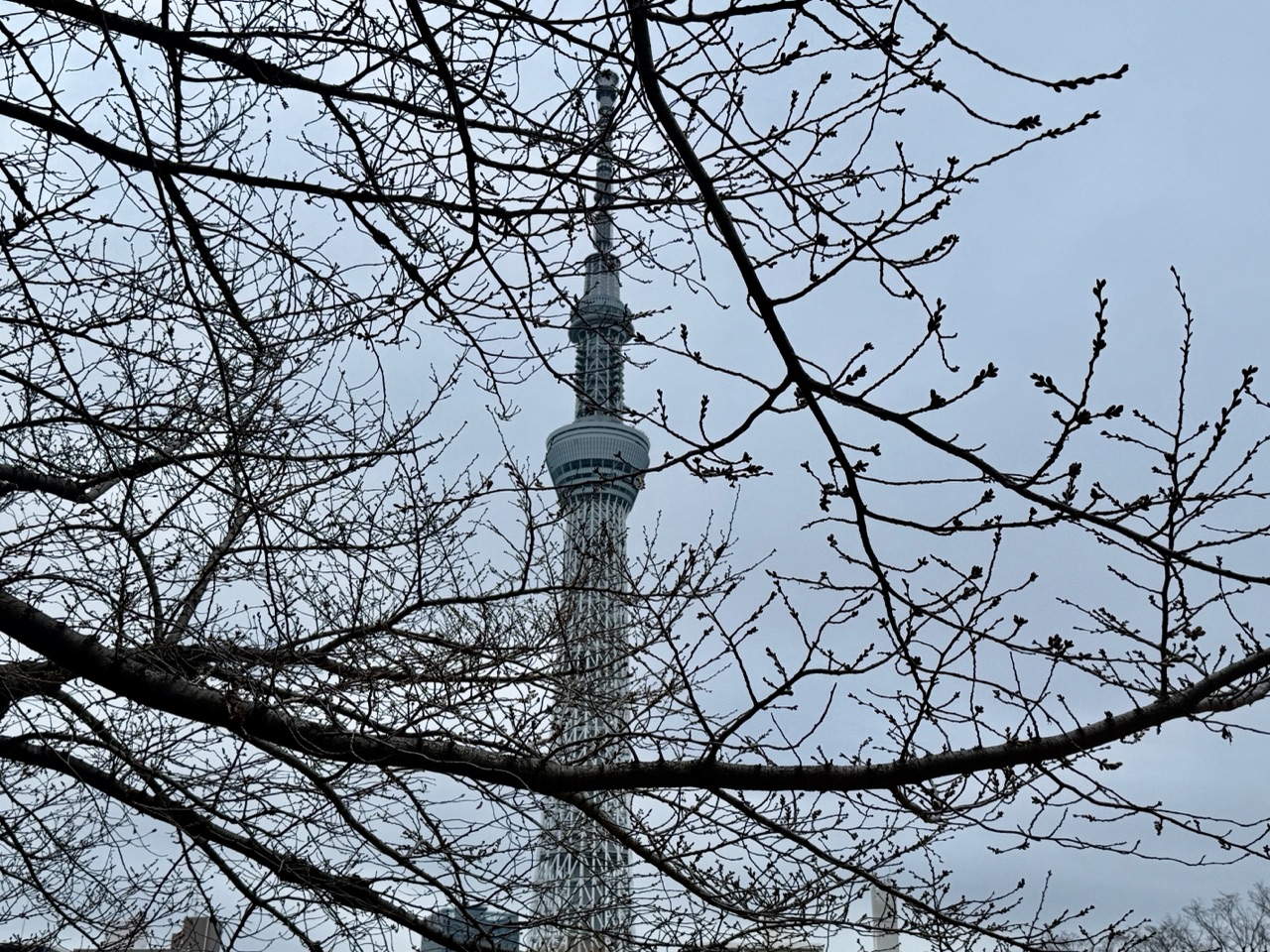 掲示板画像
