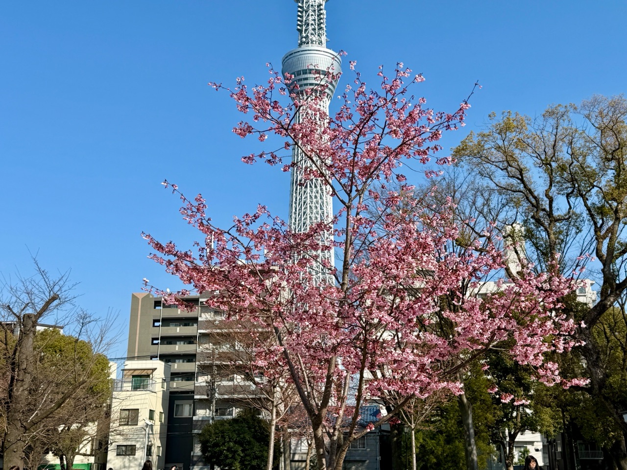 掲示板画像
