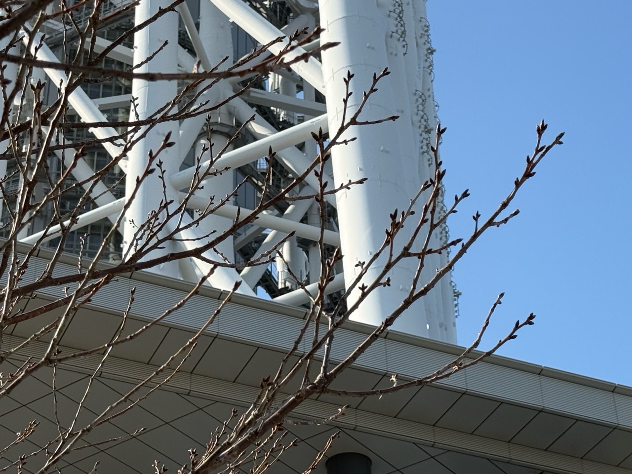 掲示板画像