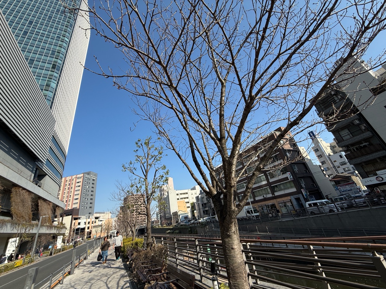 掲示板画像