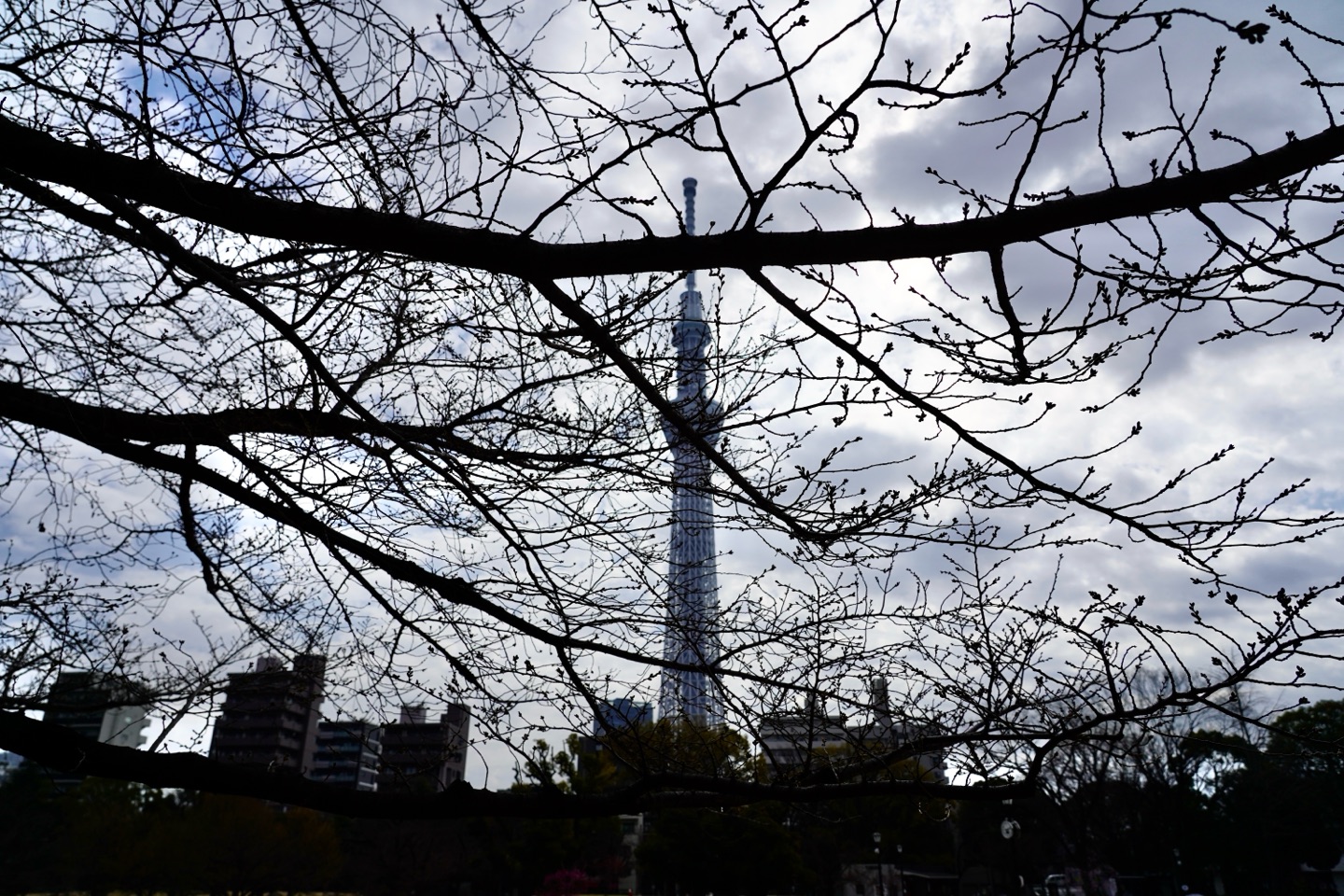掲示板画像