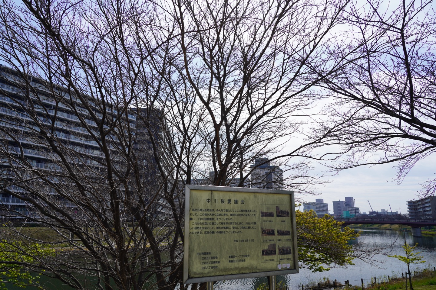掲示板画像