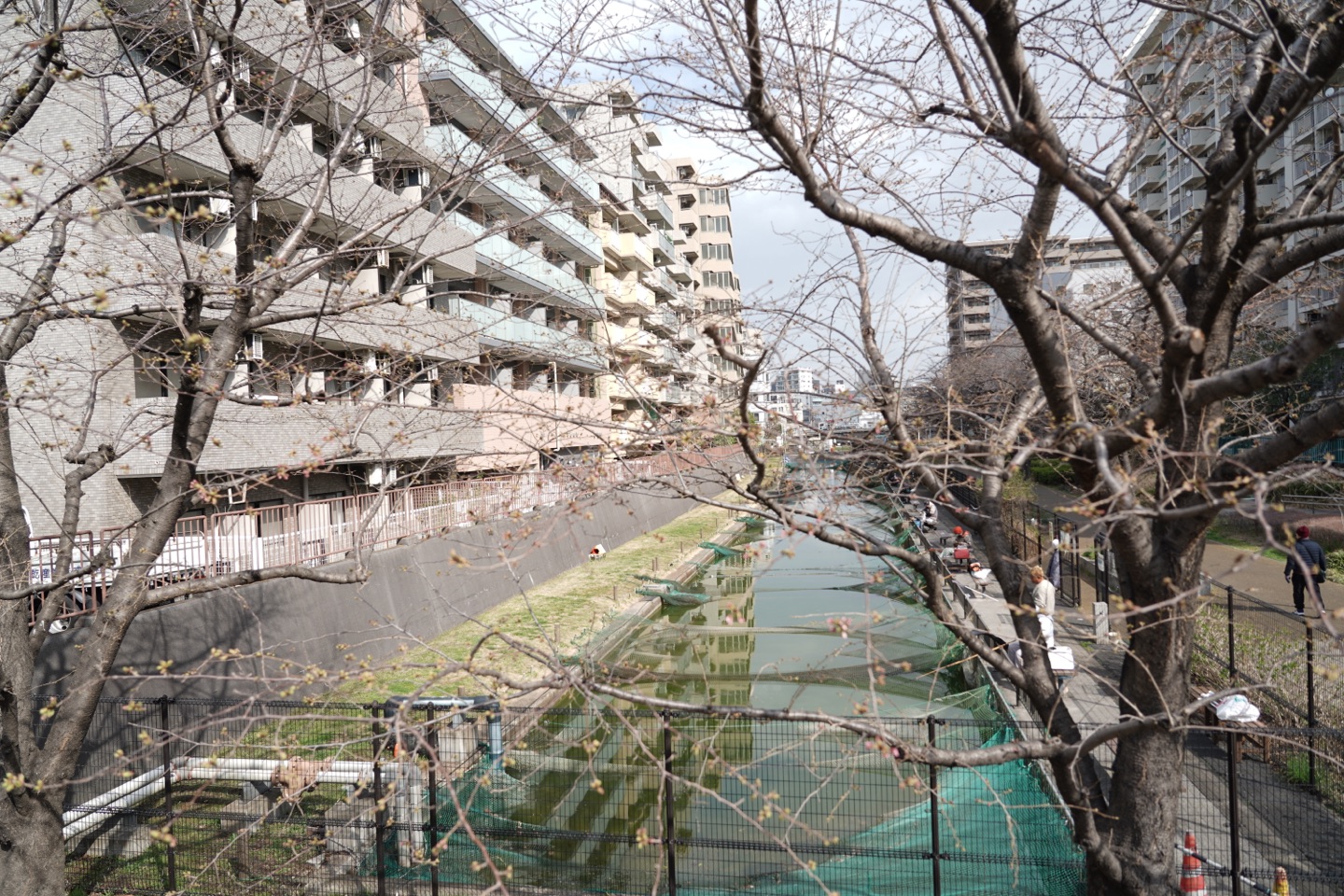 掲示板画像