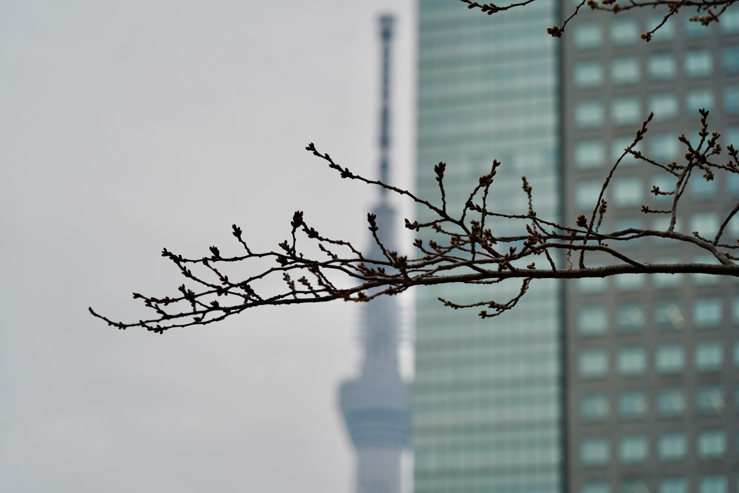 掲示板画像