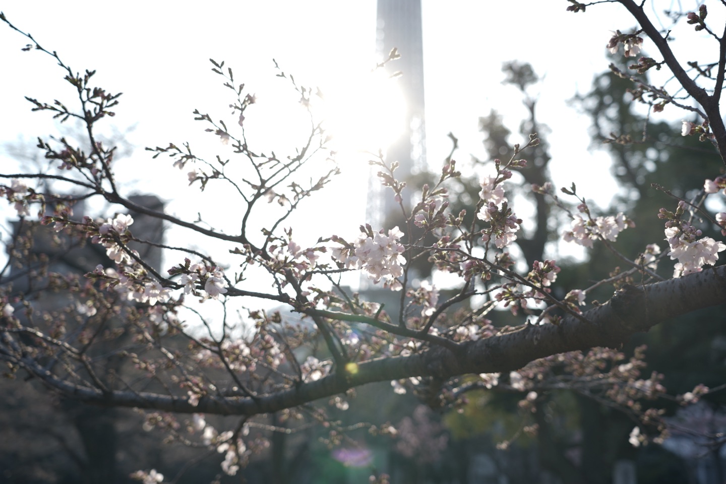掲示板画像