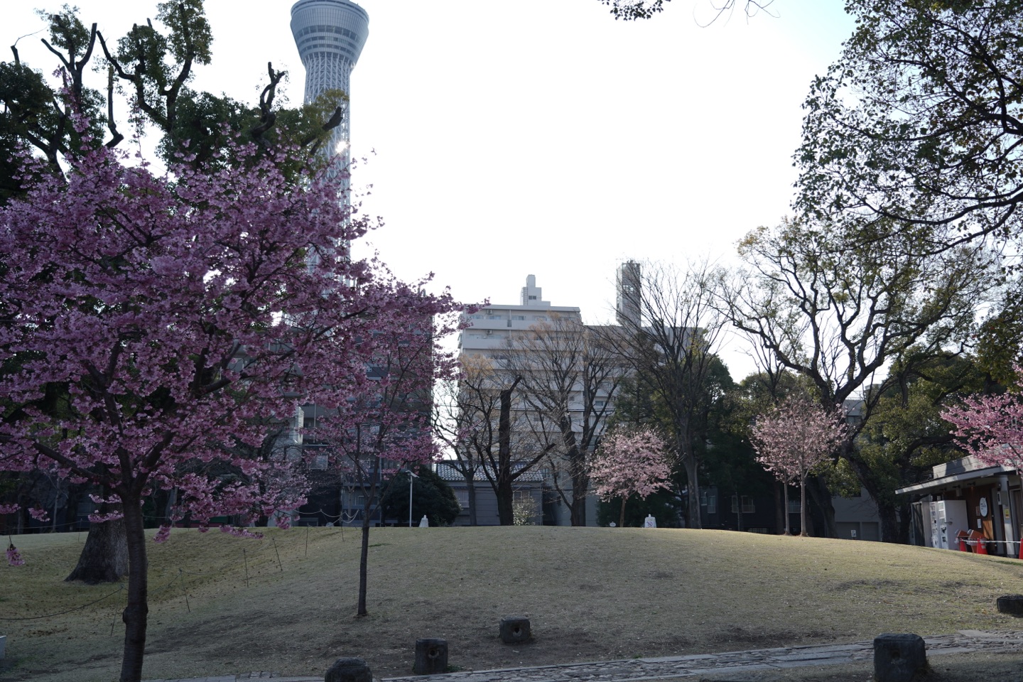 掲示板画像