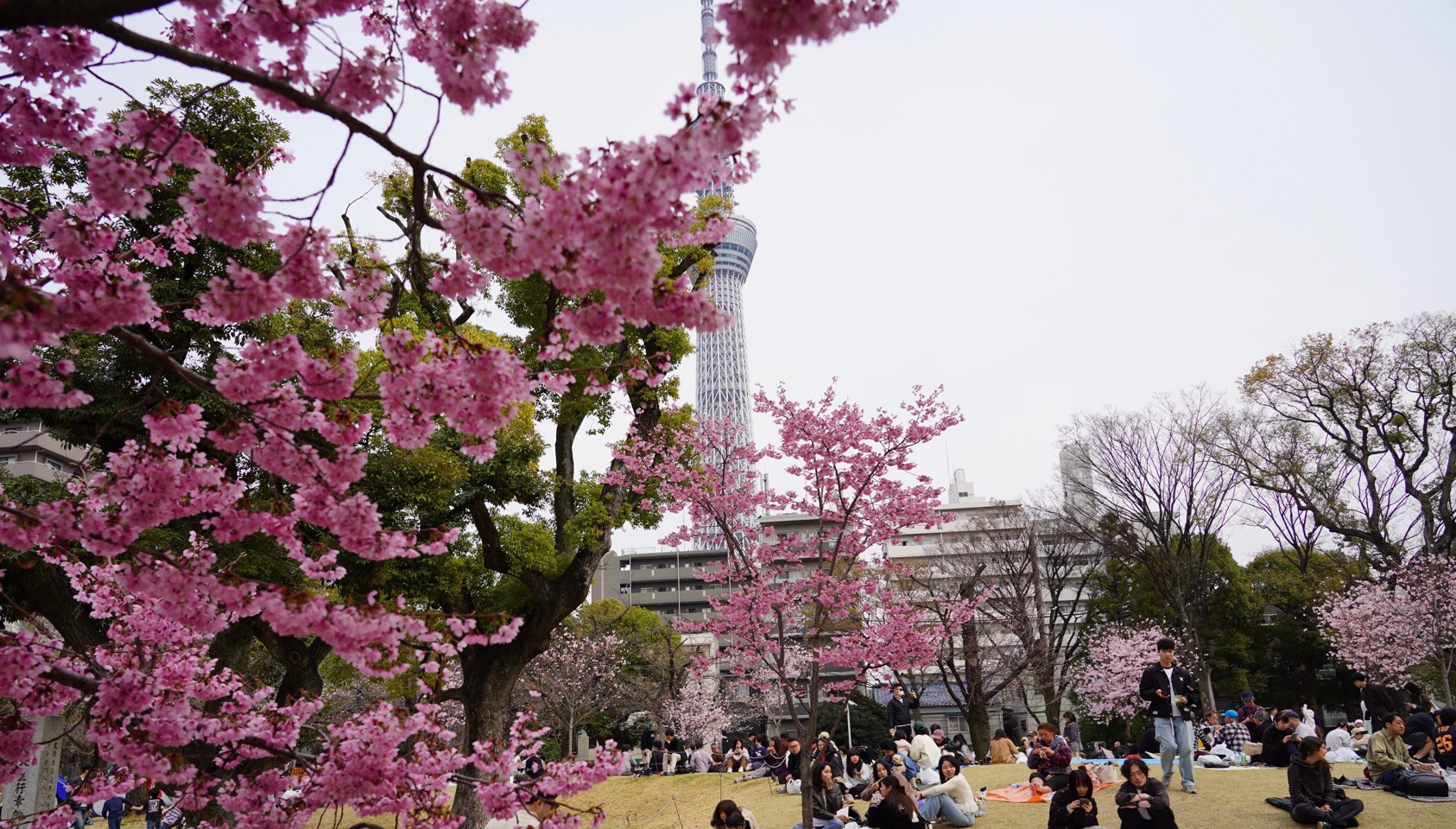 掲示板画像