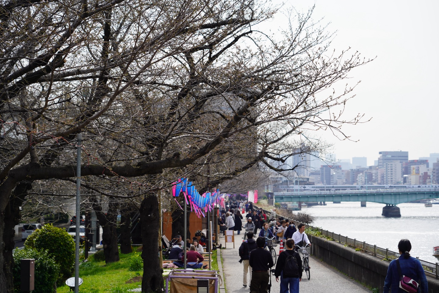 掲示板画像