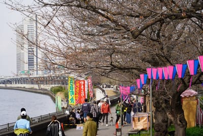 Cherry blossom photo at 隅田川沿い