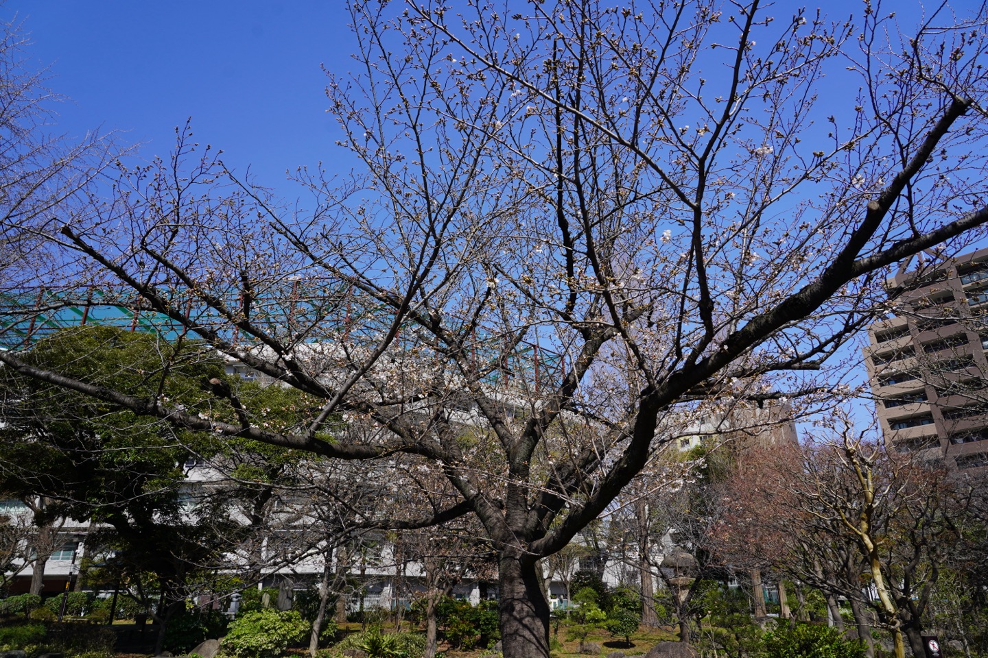掲示板画像