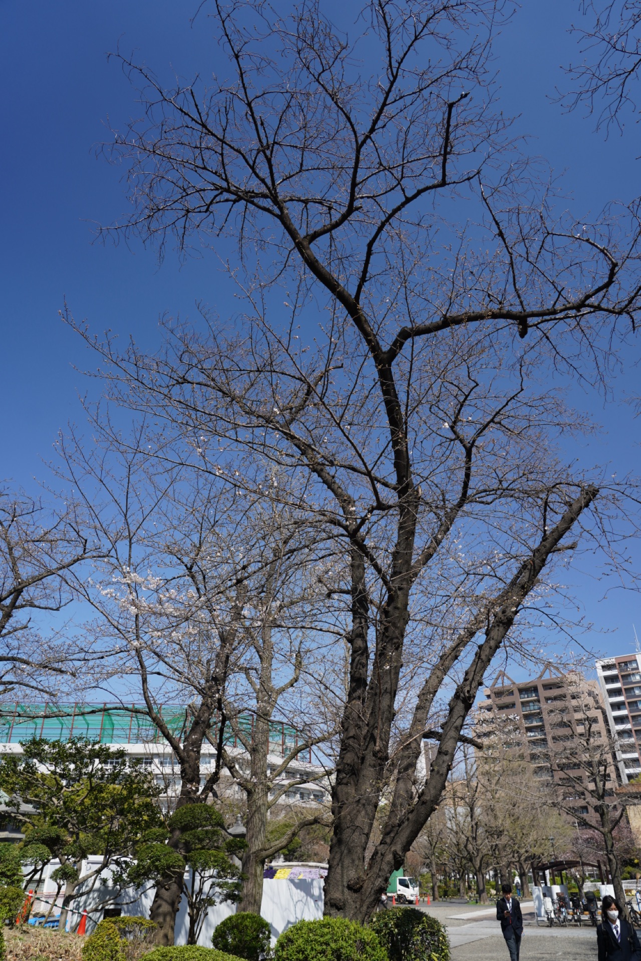 掲示板画像