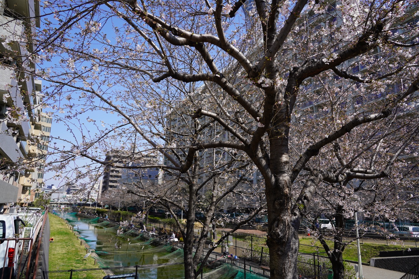 掲示板画像
