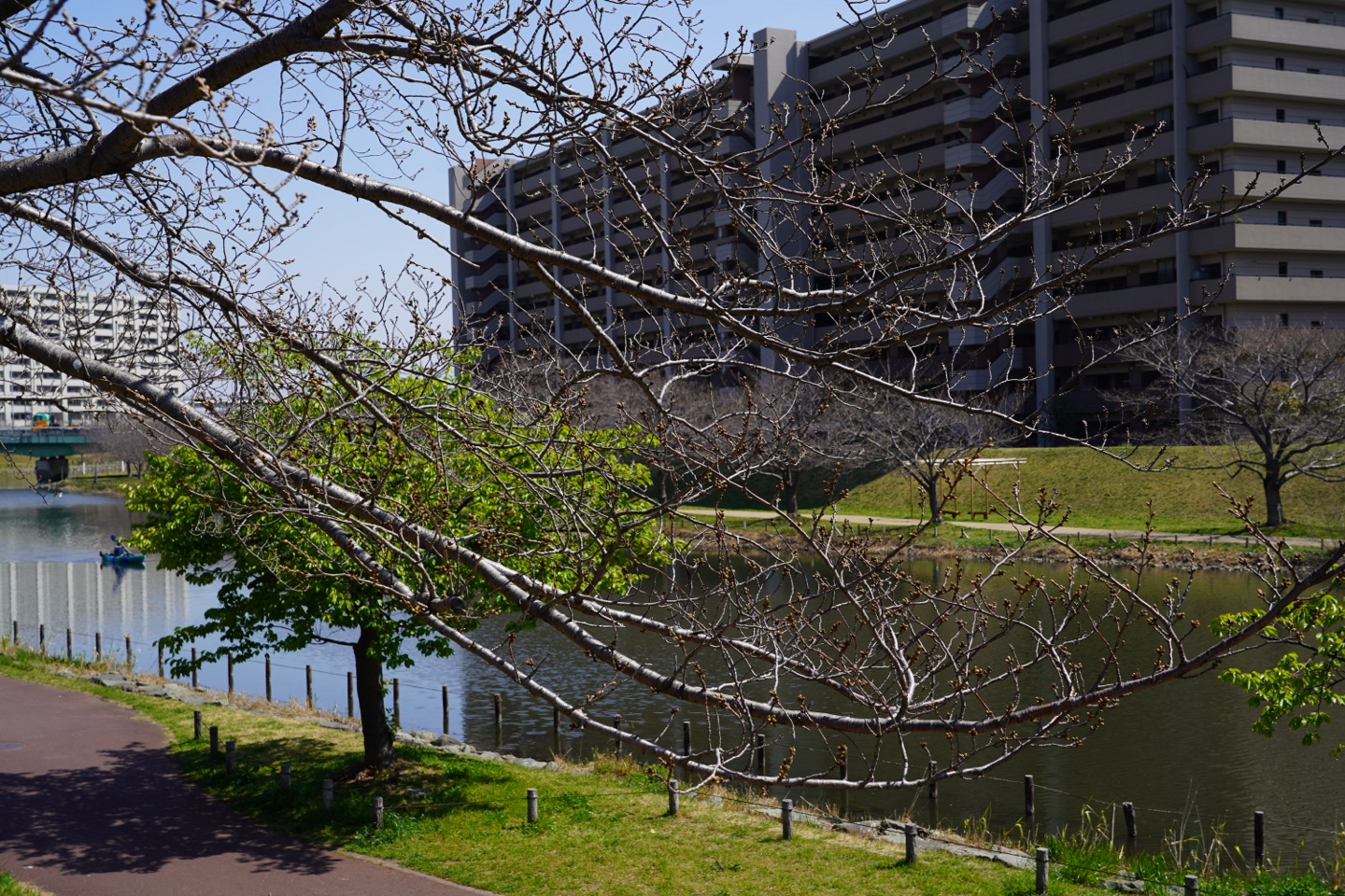 掲示板画像