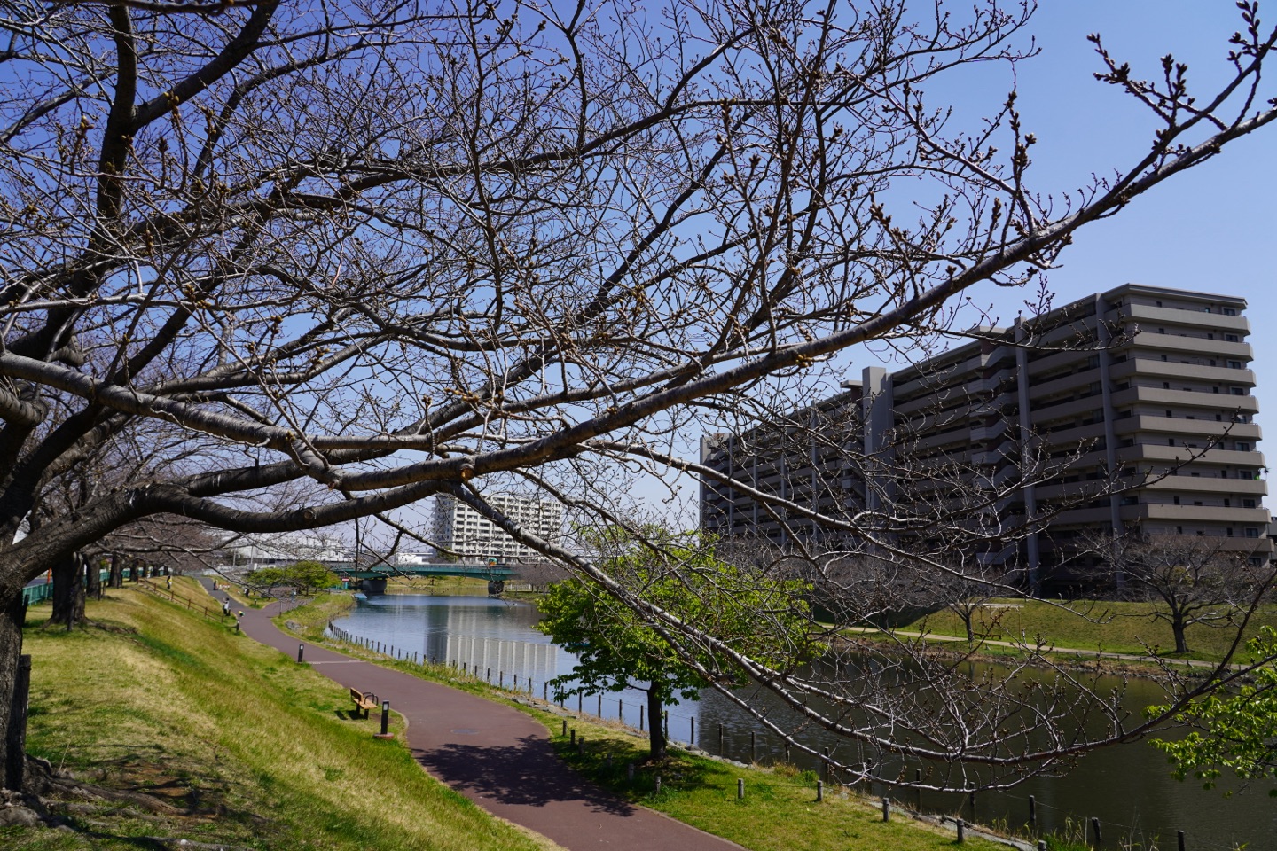 掲示板画像